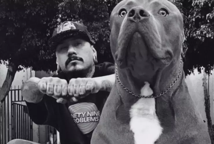 Daniel Tata Alarcón, influencer mexicano