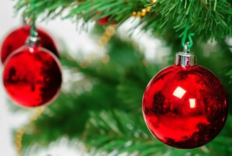 Navidad Tijuana 2024