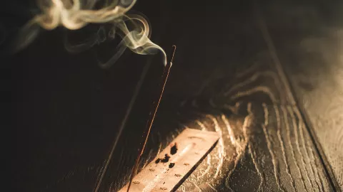 Inciensos para alejar moscos