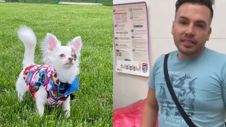 Hombre lleva a su perro a bañar y se lo entregan muerto en Colombia