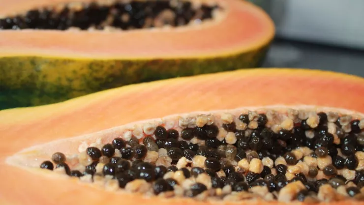 Cuáles son los beneficios de consumir frutas de temporada