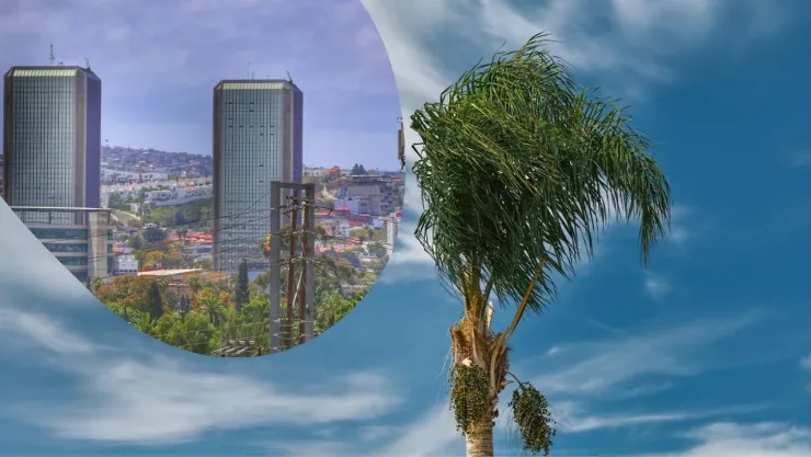 ¿A qué hora inician los vientos de Santa Ana en Tijuana el jueves 27 de febrero de 2025?