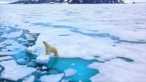 cambio climático.jpg