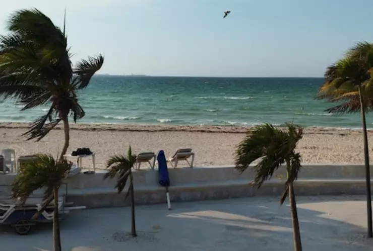 Niño se PIERDE en malecón de Progreso y autoridades intervienen