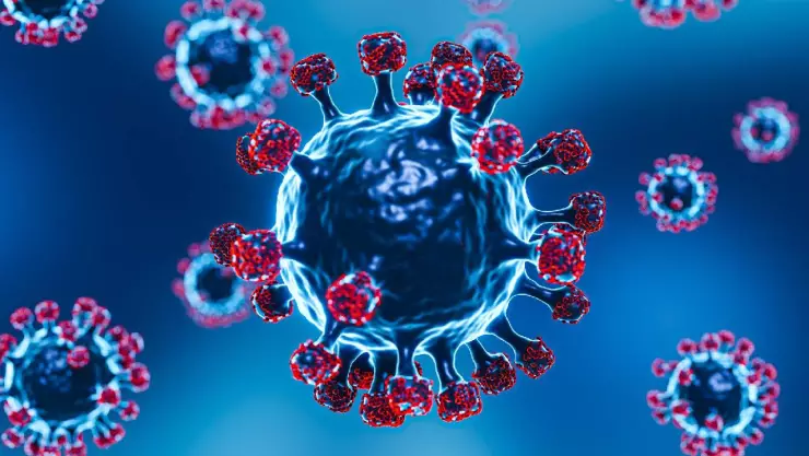 virus ebola