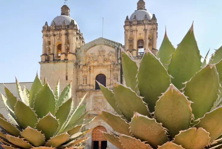 Oaxaca deslumbra con sus playas, su cultura milenaria y la diversidad de paisajes que ofrece al viajero.