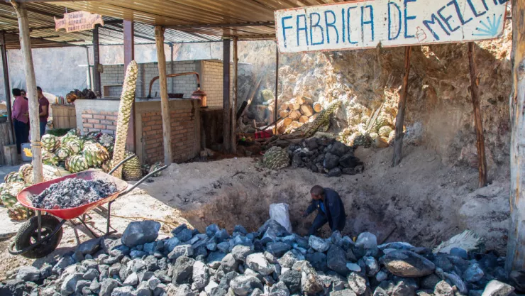 Mezcal Production in Oaxaca
