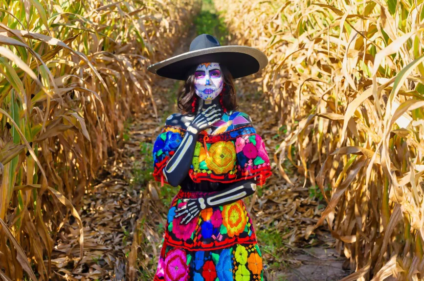 maquillajes catrina