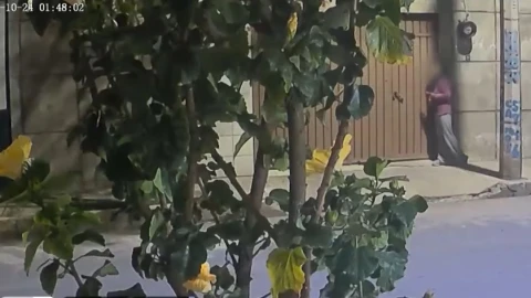 “Lau” quedó abandonada en calles de Nezahualcóyotl, donde vecinos la auxiliaron
