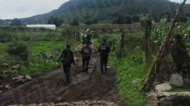  Labores de búsqueda de Ana Amelí García 