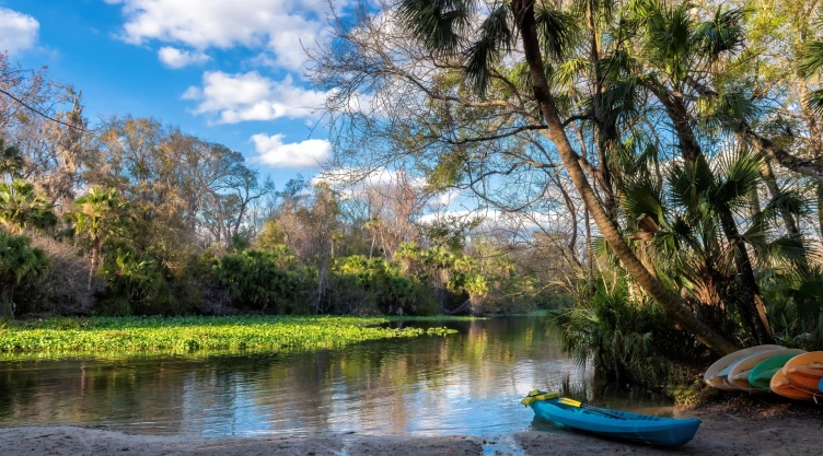una vista del hermoso oasis idílico en Wekiwa Springs State Park.