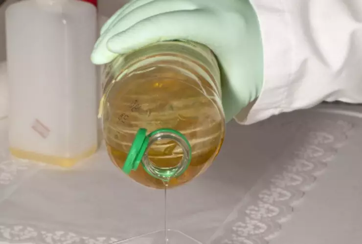 aceite-de-palma-metastasis-cancer