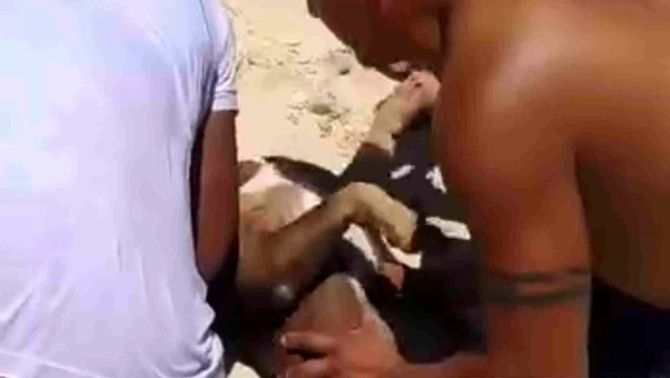 Hombre que ahogó a pitbull en Playa del Carmen no era el dueño; identifican al culpable