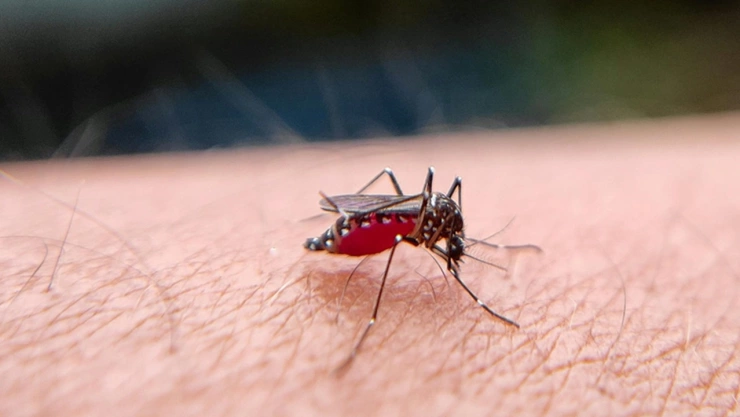 dengue tipo 3 síntomas muere niño