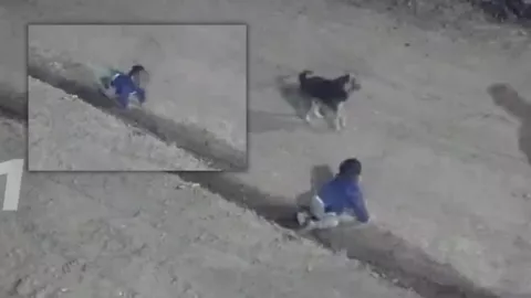 Bebé sale gateando por la calle