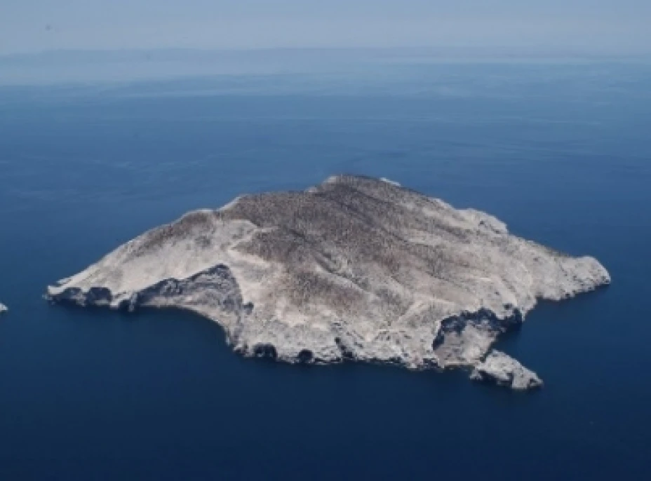 Isla San pedro Mártir