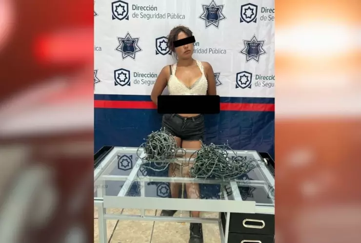En Torreón, joven de 19 años es detenida tras robar luces navideñas.jpg