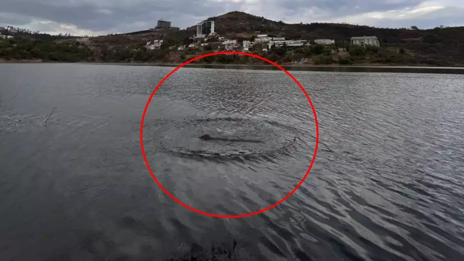 ¿Monstruo de Edomex? Captan supuesto dinosaurio en México