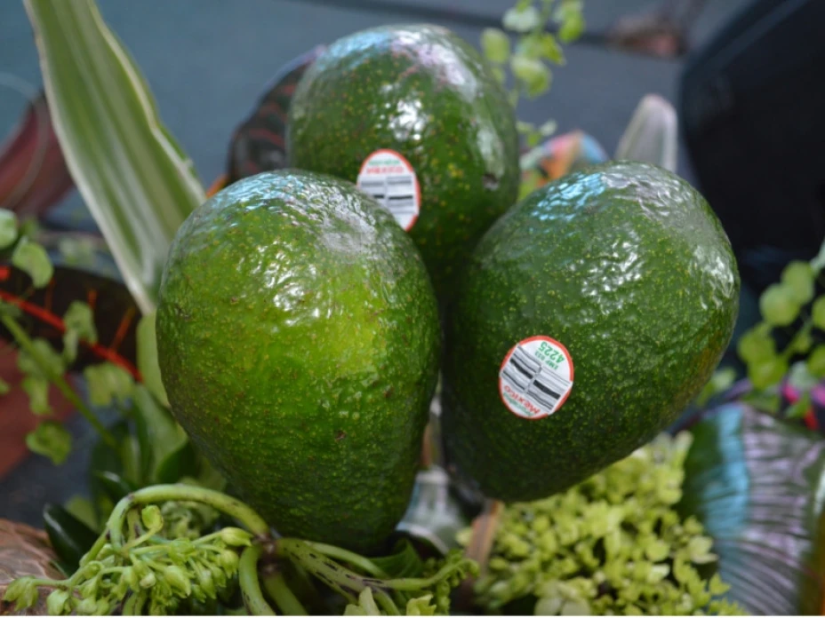 Aguacate