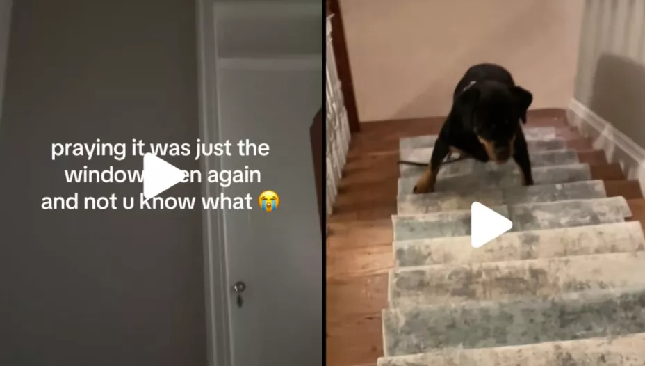 /al-extremo/mujer-vive-horrible-experiencia-paranormal-casa-rentada-pb-notas