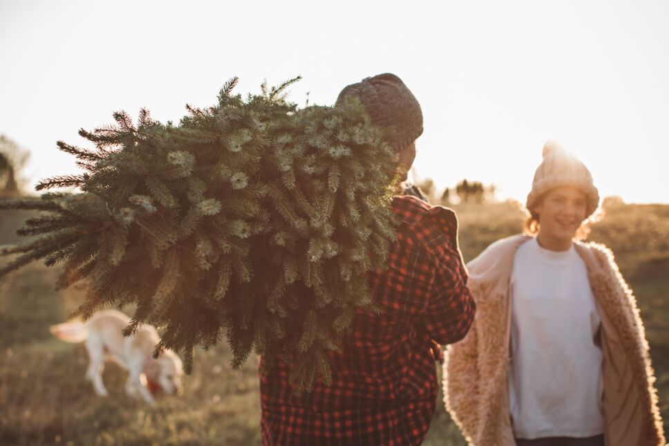 hombre cargando un árbol de navidad