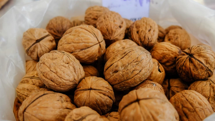 Nuez de castilla; el protagonista del Festival Cultural de la Nuez