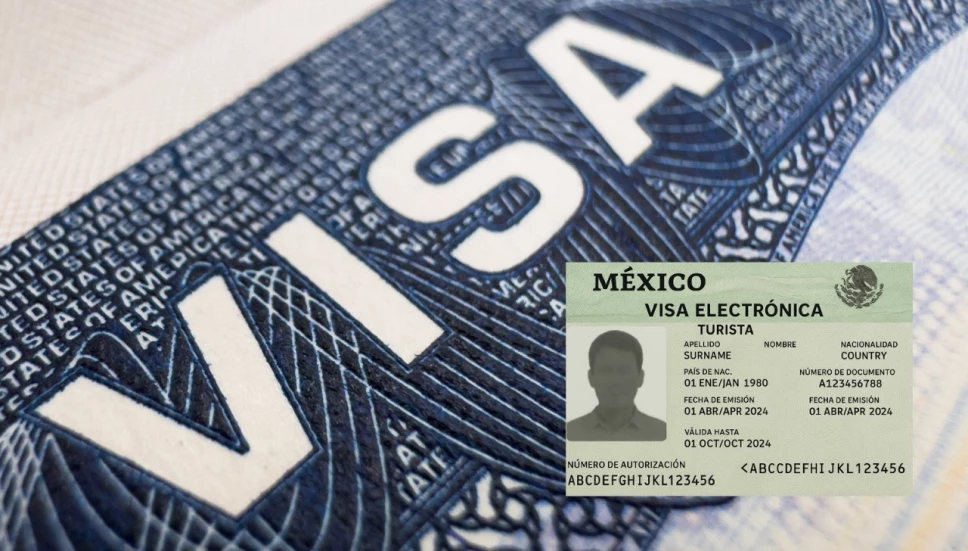 ¿Quiénes deben tramitar la visa electrónica México?