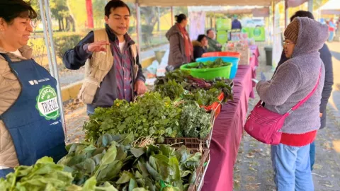 Mercado de Trueque CDMX