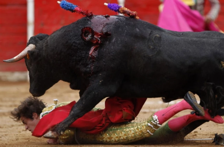 Toreros podrán ser denuncias por maltrato animal