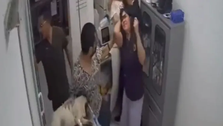 veterinaria
