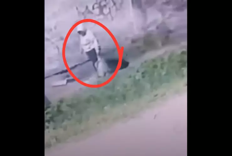 Abandonan a recién nacido en un pastizal en Quilmes, Argentina, video viral.png