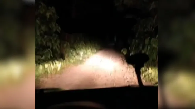 Llorona es captada por taxista en San Pablo Coapan, Naolinco