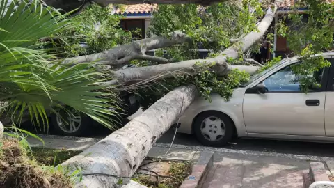 Norte explosivo en Veracruz.