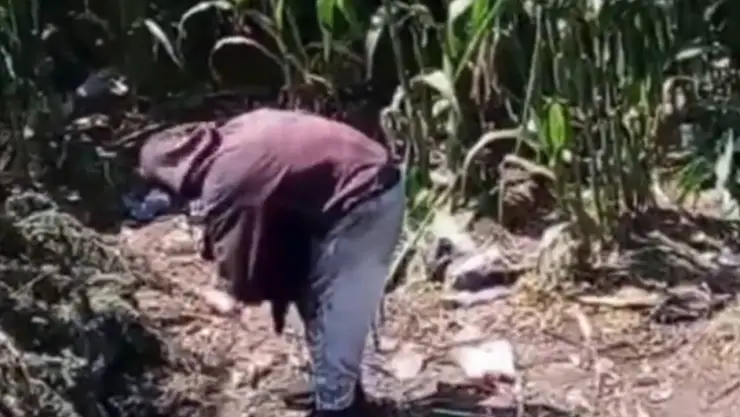 Maltrato de perros