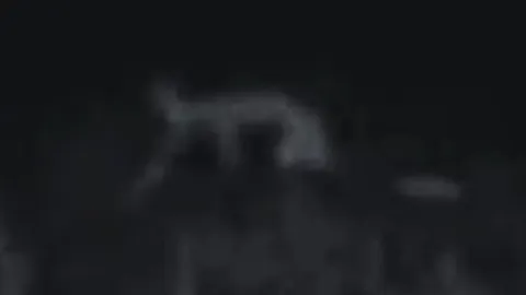 Nahual es captado en Perote