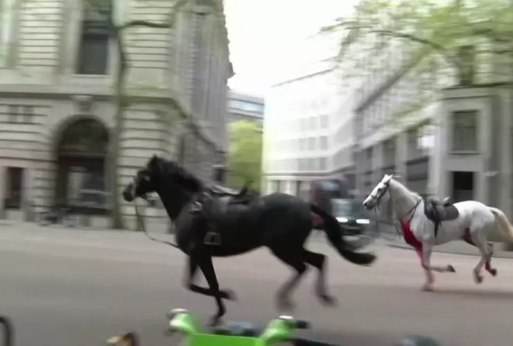 caballos-desbocados-londres-caballeria-real