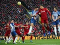 Liverpool vs Brighton
