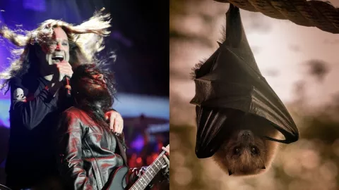 Ozzy Osbourne murciélago cabeza 1.jpg