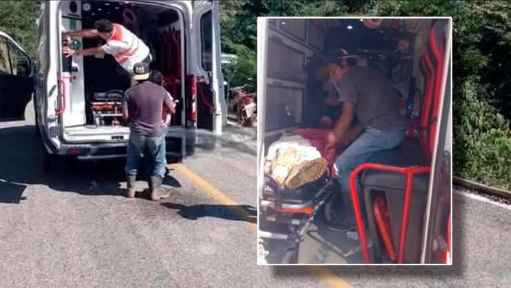 Nauyaca ataca a menor en comunicad Rafael Cal y Mayor de Cintalapa