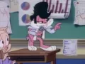 tiny-toons-origen