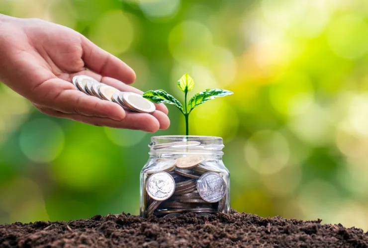 El ritual con monedas para que no te falte nada en tu vida