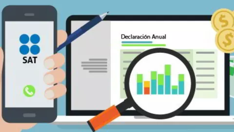 Declaración Anual