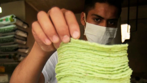 ¿Cuánto debe costar el kilo de tortillas? Esto dice Profeco