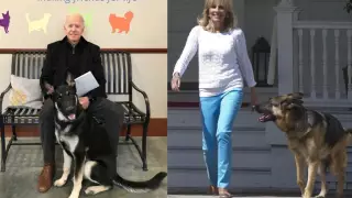 Major es el primer perro adoptado en la Casa Blanca y vivirá al lado de su compañero peludo Champ