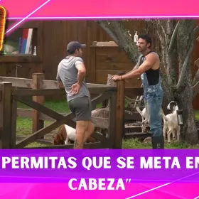 Fernando aconseja a Pascal