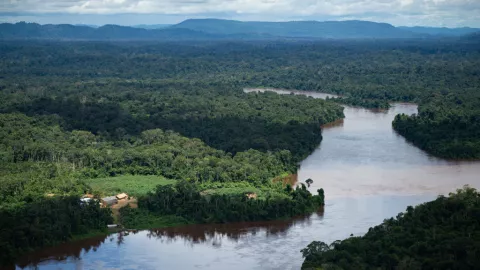 General Views of the Brazilian Amazon Region Close to the Venezuelan Border