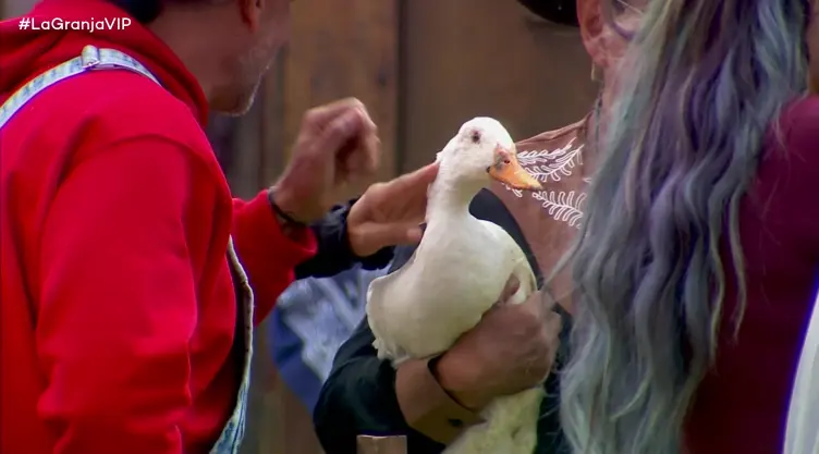 ¡La familia crece! Los Granjeros reciben a 7 tiernos patitos en La Granja VIP