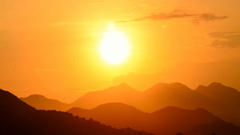 ¡Calor extremo los ‘rostiza’! En San Luis Potosí se registra muerte masiva de aves