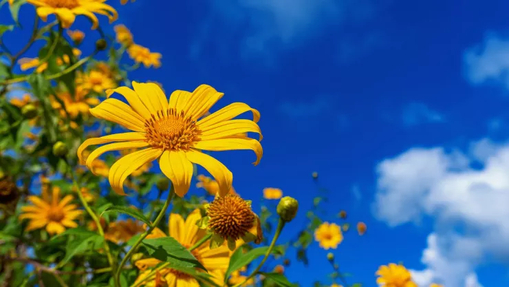 Equinoccio de Primavera 2023