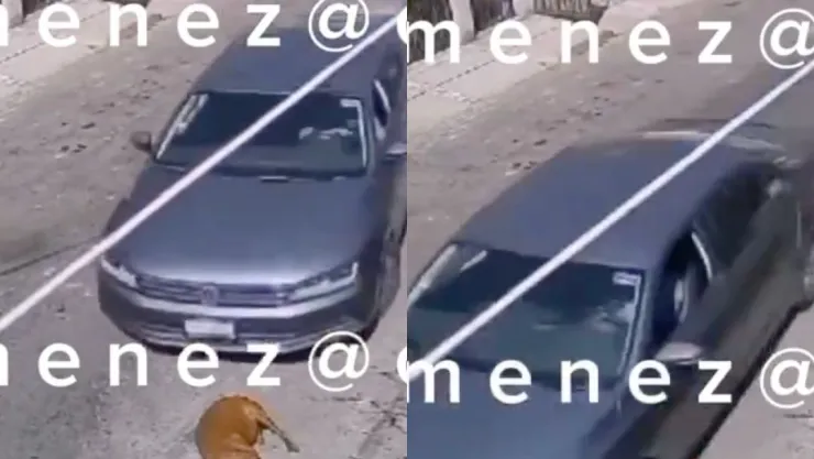 ¡Sin importarle! Captan a mujer atropellando y matando a un perro afuera de su casa en CDMX
